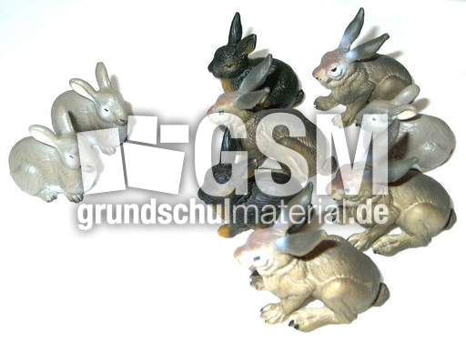 Hasen2+7.jpg